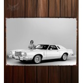 Металлическая табличка Ford Thunderbird Heritage